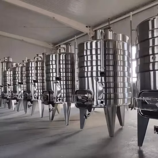 500L 1000L 2000L Joghurt Industriebier Wein Edelstahl Anaerober Gärtank